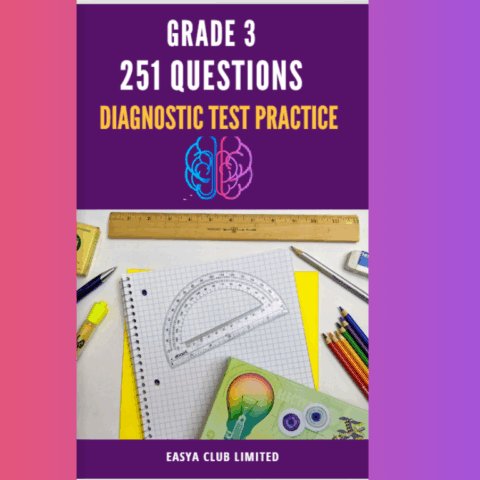Grade 3 Diagnostics Test Practice- 251 Questions