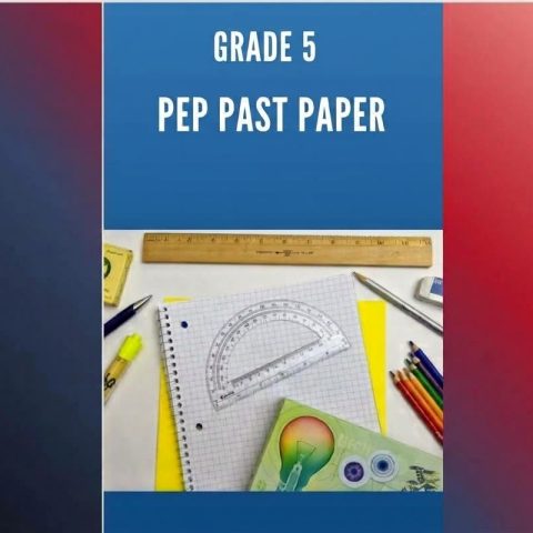 Grade 5 PEP Past Papers